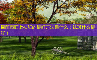 目前市面上祛斑的好 *** 是什么（祛斑什么好）