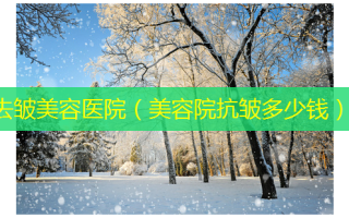 去皱美容医院（美容院抗皱多少钱）