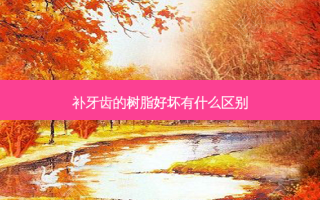 补牙齿的树脂好坏有什么区别