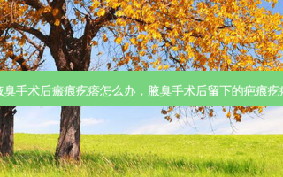 腋臭手术后瘢痕疙瘩怎么办，腋臭手术后留下的疤痕疙瘩