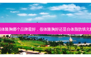 假体隆胸哪个品牌 *** ，假体隆胸好还是自体脂肪填充好