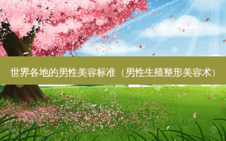世界各地的男性美容标准（男性生殖整形美容术）