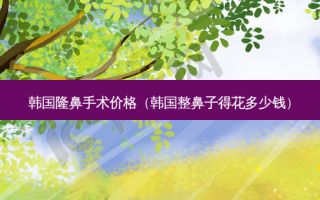 韩国隆鼻手术价格（韩国整鼻子得花多少钱）