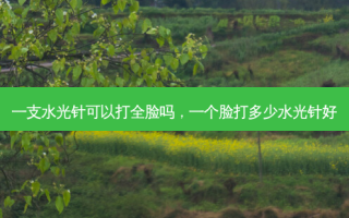 一支水光针可以打全脸吗，一个脸打多少水光针好