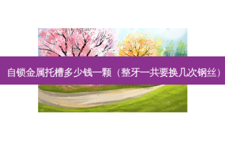 自锁金属托槽多少钱一颗（整牙一共要换几次钢丝）