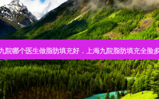 上海九院哪个医生做脂肪填充好，上海九院脂肪填充全脸多少钱