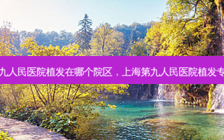 上海第九人民医院植发在哪个院区，上海第九人民医院植发专家介绍