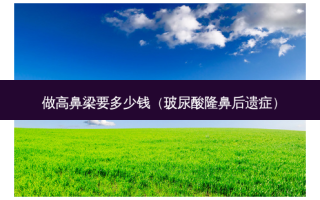 做高鼻梁要多少钱（玻尿酸隆鼻后遗症）