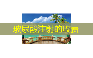 玻尿酸注射的收费