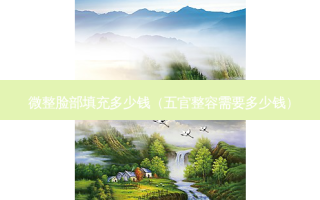 微整脸部填充多少钱（五官整容需要多少钱）