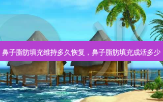 鼻子脂肪填充维持多久恢复，鼻子脂肪填充成活多少