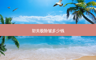 塑美极除皱多少钱