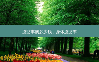 脂肪丰胸多少钱，身体脂肪率