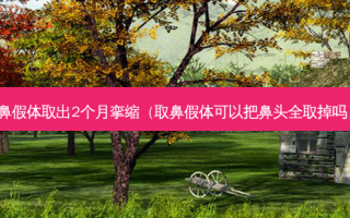 鼻假体取出2个月挛缩（取鼻假体可以把鼻头全取掉吗）