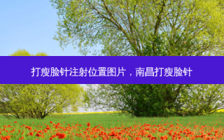 打瘦脸针注射位置图片，南昌打瘦脸针