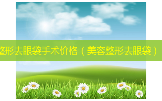 整形去眼袋手术价格（美容整形去眼袋）