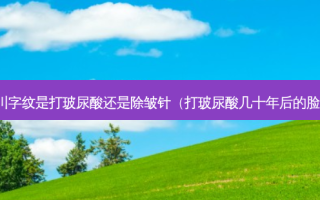川字纹是打玻尿酸还是除皱针（打玻尿酸几十年后的脸）