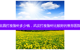 宜昌打瘦脸针多少钱，武汉打瘦脸针比较好的整形医院