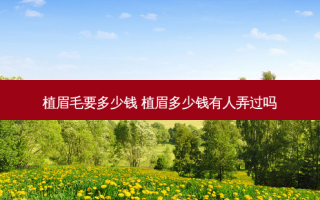 植眉毛要多少钱 植眉多少钱有人弄过吗
