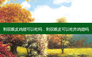 割双眼皮鸡翅可以吃吗，割双眼皮可以吃炸鸡翅吗
