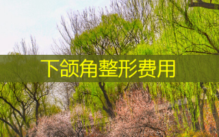 下颌角整形费用