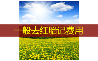 一般去红胎记费用