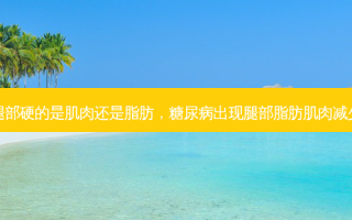 腿部硬的是肌肉还是脂肪，糖尿病出现腿部脂肪肌肉减少