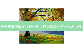 奢芙雅玻尿酸多少钱一支（玻尿酸多久打一次多少钱）