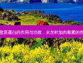 水光针胶原蛋白的作用与功效，水光针加 *** 的作用原理