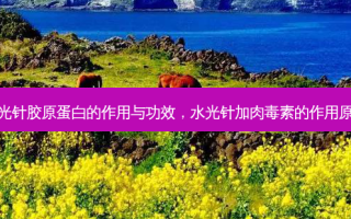 水光针胶原蛋白的作用与功效，水光针加 *** 的作用原理
