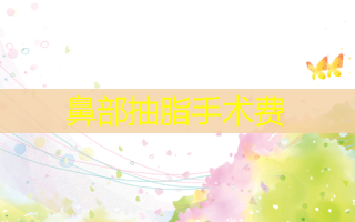 鼻部抽脂手术费
