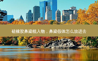 硅橡胶鼻梁植入物，鼻梁假体怎么放进去