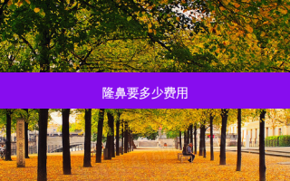 隆鼻要多少费用