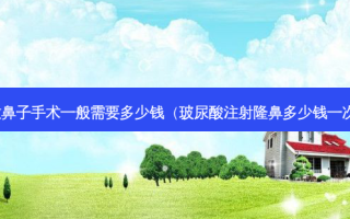做鼻子手术一般需要多少钱（玻尿酸注射隆鼻多少钱一次）