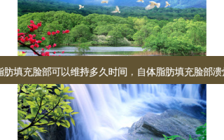 自体脂肪填充脸部可以维持多久时间，自体脂肪填充脸部溃烂图片