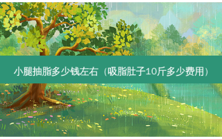 小腿抽脂多少钱左右（吸脂肚子10斤多少费用）