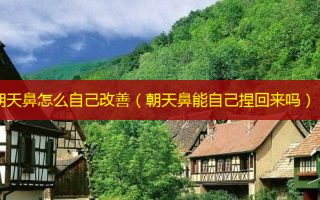 朝天鼻怎么自己（朝天鼻能自己捏回来吗）