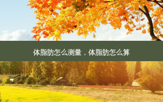 体脂肪怎么测量，体脂肪怎么算