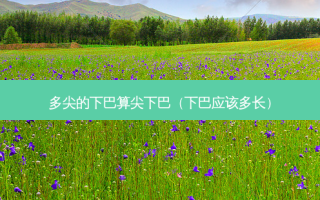 多尖的下巴算尖下巴（下巴应该多长）