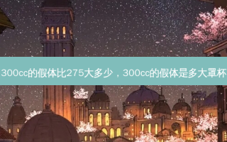 300cc的假体比275大多少，300cc的假体是多大罩杯