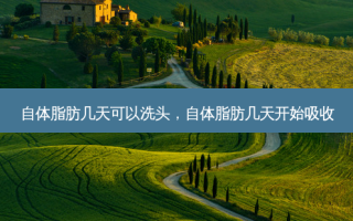 自体脂肪几天可以洗头，自体脂肪几天开始吸收