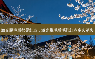 激光脱毛后都是红点，激光脱毛后毛孔红点多久消失