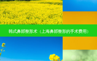 韩式鼻部整形术（上海鼻部整形的手术费用）