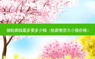 做轮廓线多要多少钱（轮廓整形大小脸价格）