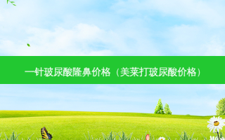 一针玻尿酸隆鼻价格（美莱打玻尿酸价格）