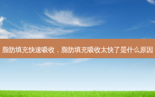 脂肪填充快速吸收，脂肪填充吸收太快了是什么原因