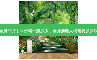 全身抽脂手术价格一般多少，全身抽脂大概需要多少钱