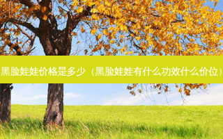 黑脸娃娃价格是多少（黑脸娃娃有什么功效什么价位）