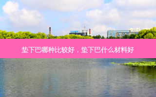 垫下巴哪种比较好，垫下巴什么材料好