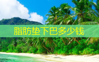 脂肪垫下巴多少钱